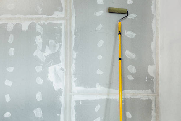 Best Mold Prevention Services  in Afton, MN