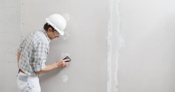Afton, MN Mold Removal Company