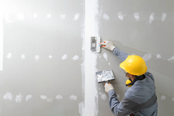 Best Mold Odor Removal Services  in Afton, MN