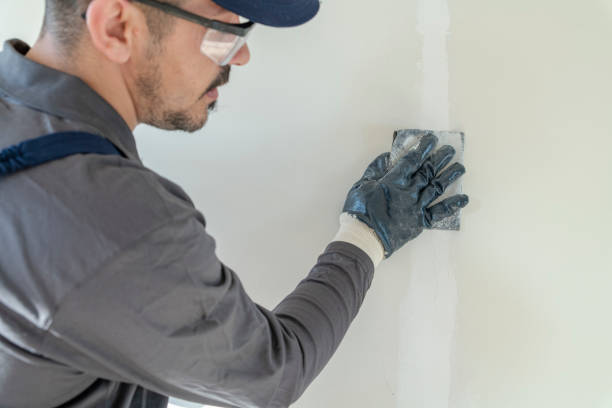 Best Post-Construction Mold Inspection  in Afton, MN