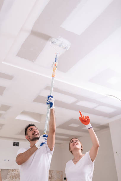 Best Comprehensive Air Testing for Mold Contaminants  in Afton, MN