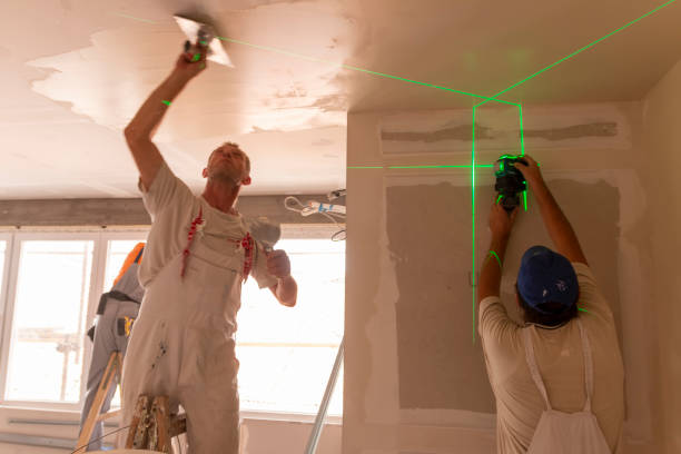 Best Environmental Consulting for Mold Prevention  in Afton, MN