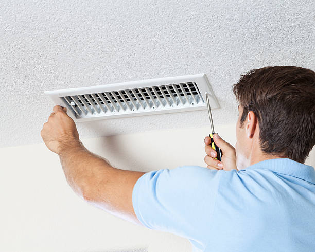 Best Industrial Mold Remediation  in Afton, MN