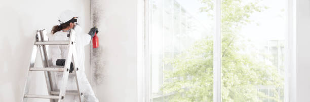 Best Air Quality Testing for Mold Spores  in Afton, MN