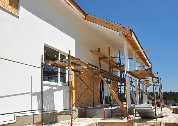 Best Mold Damage Restoration  in Afton, MN
