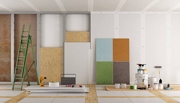 Best Mold Damage Restoration  in Afton, MN
