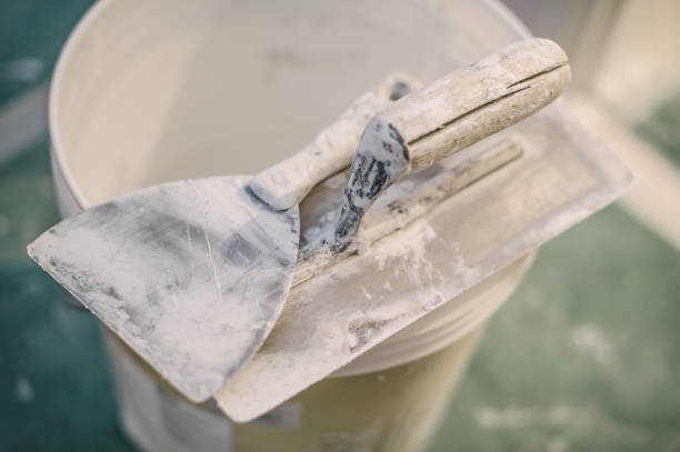 Best Residential Mold Inspection & Testing  in Afton, MN