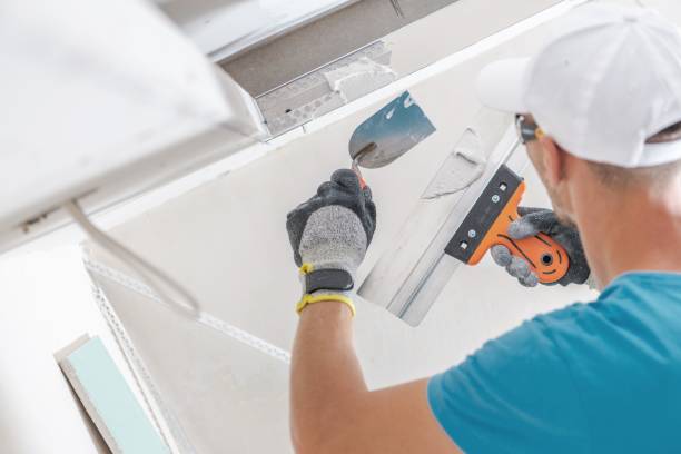 Best Airborne Mold Testing  in Afton, MN